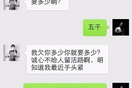 定襄融资清欠服务